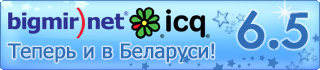 ICQ 6.5