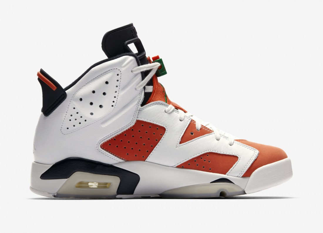 Nike Air Jordan 6 — $190