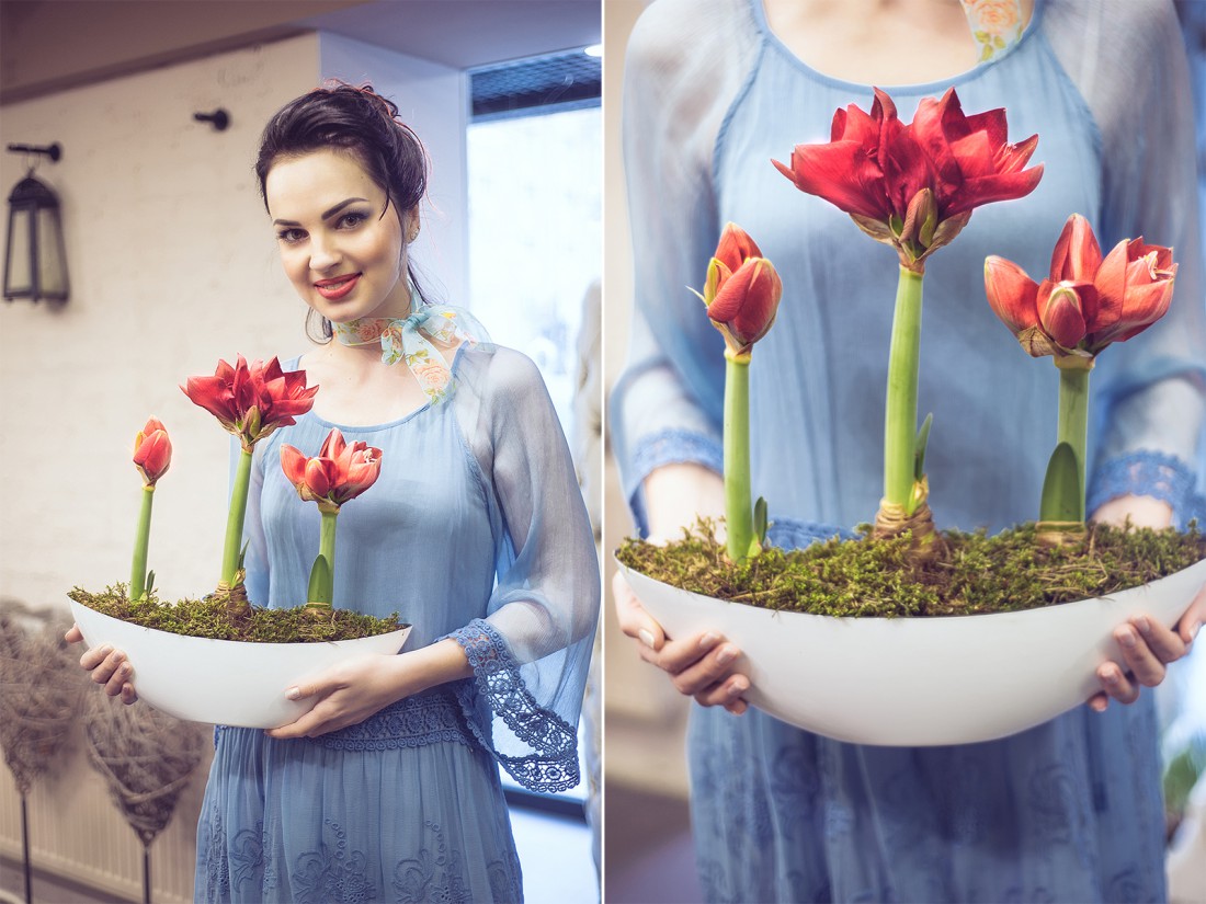 Мария Пион и амарилис