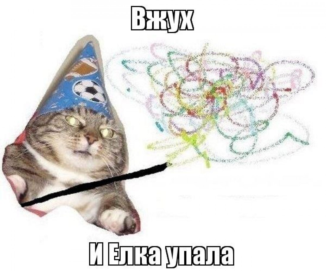 Коты такие коты