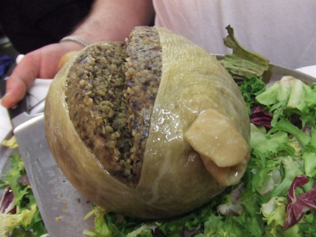 Хаггис (Haggis)