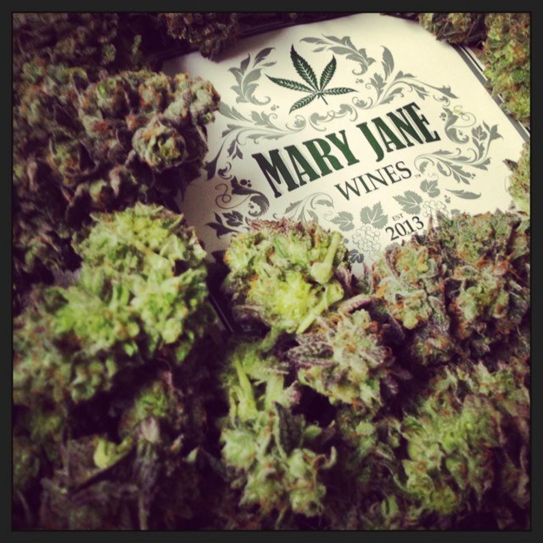 Вино Mary Jane не вызывает помутнения рассудка