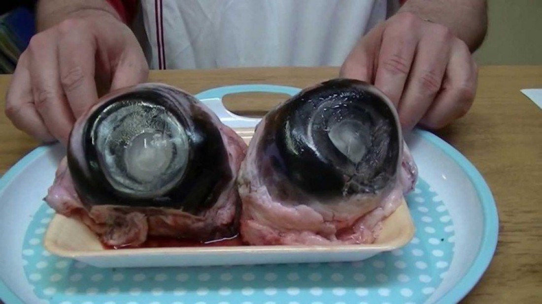 Глазное яблоко тунца (Tuna Eyeball)