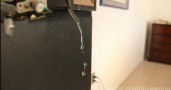 ���������� ���� ���: ��� ��������� ���� ������ ����� (�����)
