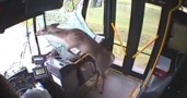 ������ ����� ������� � ������� � �����, ��� �������