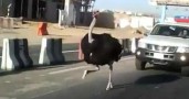������ ������� ����� � �������� �� ���������� ������