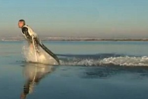 Почувствуй себя дельфином Почувствуй себя дельфином