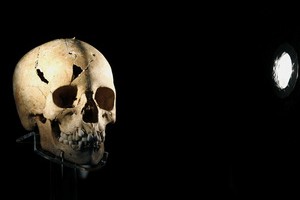 Антропологии изучили 1500 черепов белых американцев