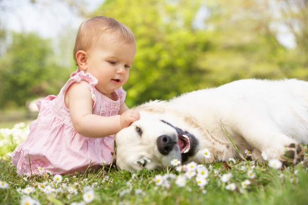 Как привить малышу любовь к животным