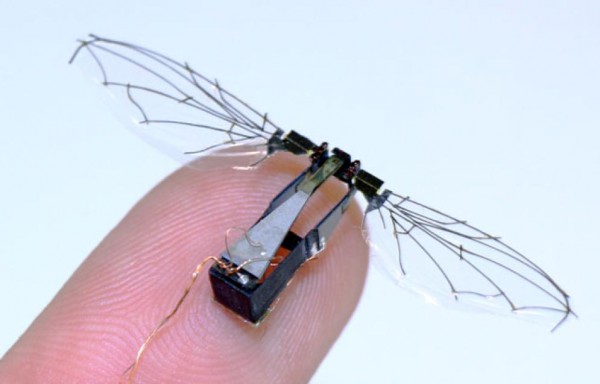 RoboBee