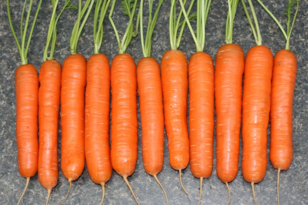 Морковь - много клетчатки, мало калорий. Ну как с ней растолстеть - ученые из клиники Mayo