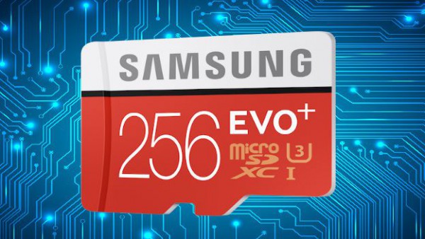 Карта памяти microSD EVO Plus 256GB