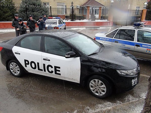 «Полицейская» Kia