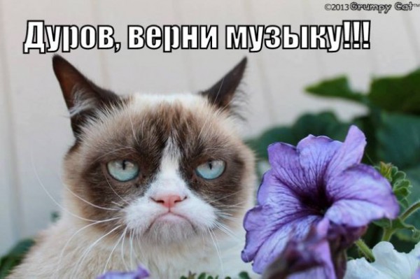 Дуров, верни песни! Почему удаляют музыку ВКонтакте