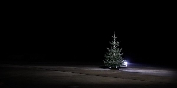А кто это под елочкой спрятался?