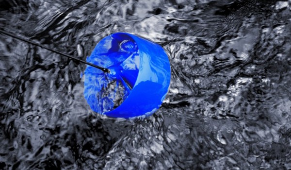 Blue Freedom