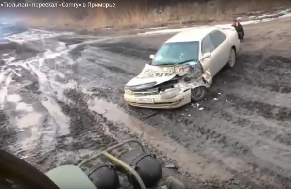 Тюльпан переехал Camry в Приморье