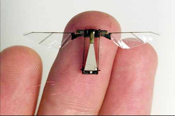 RoboBee