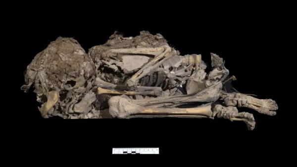 Археологи нашли 6000-летний скелет ребенка, который был похоронен, завернутый в ткань, в Пещере ужаса