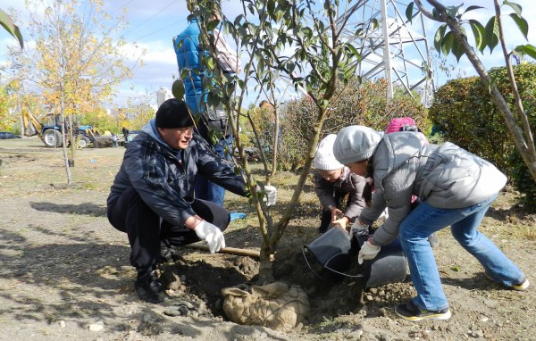 Акция направлена на увеличение площади зеленых насаждений в городах
