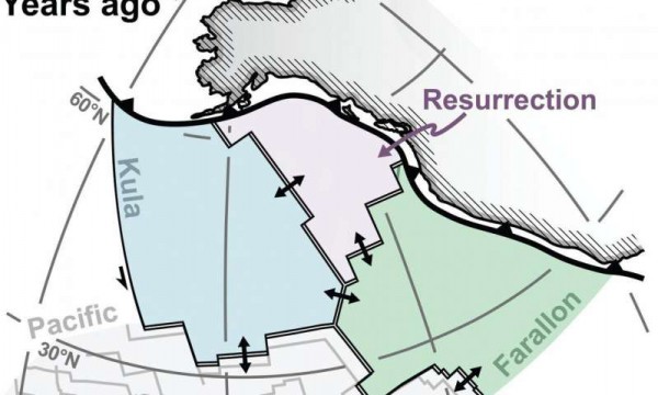 Северная Америка была сформирована из трех плит