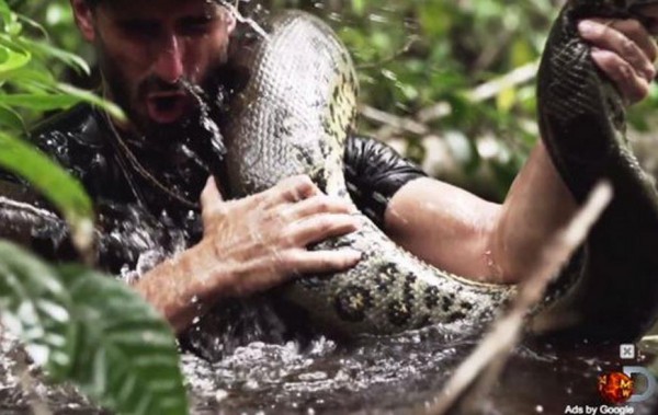 Передачу Eaten Alive будет покажут на Discovery 7 декабря