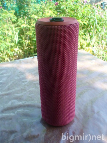 Logitech UE Boom