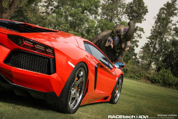 В Индии продают самые дорогие, а выпускают самые дешевые авто