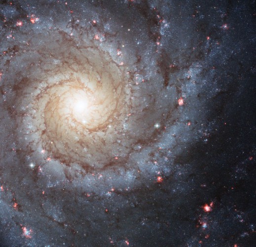 Призрачная галактика (M74)