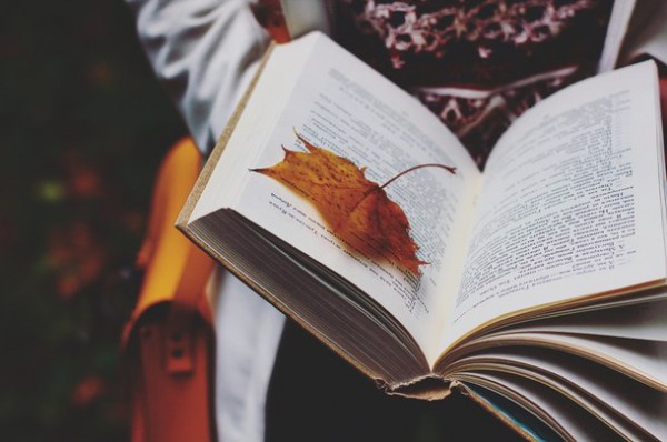 Список уместных книг для осеннего настроения.