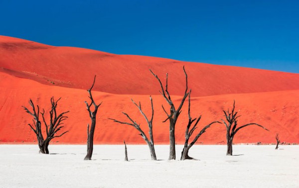 National Geographic показал лучшие фотографии января