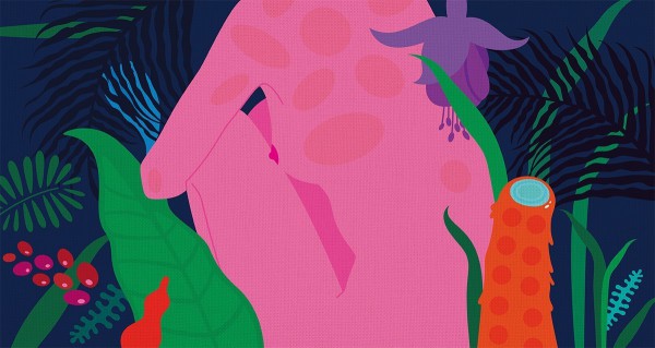 Кораллы2, LIZAVE