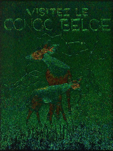 Посетите Бельгийское Конго, 2012 г. Из серии: Дань Бельгийскому Конго. Материал: надкрылья австралийского жука-древоточца на деревянной основе. 227,5 x 173 x 8,1 см