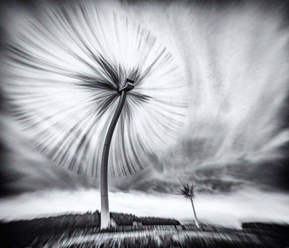 The Turbo Dandelion Wind Farm, Derek Snee