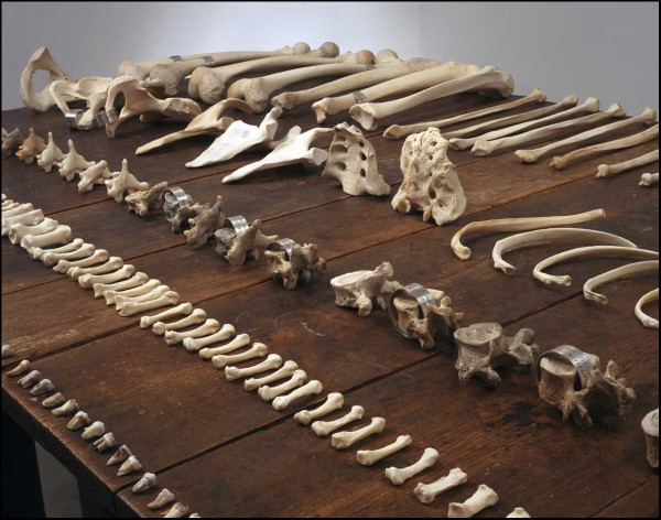 Lustmord Table, Дженни Хольцер