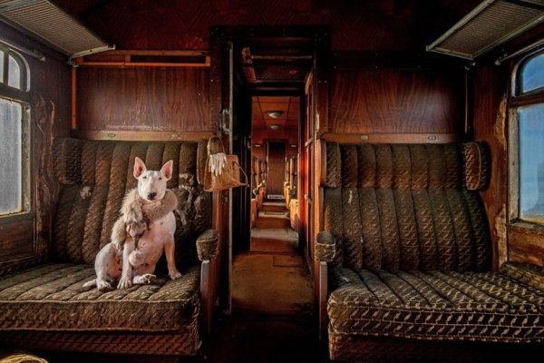 Восточный Экспресс © Alice van Kempen/The Smithsonian.com Photo Contest