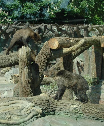 День Киева 2012