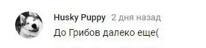Комментарий на YouTube