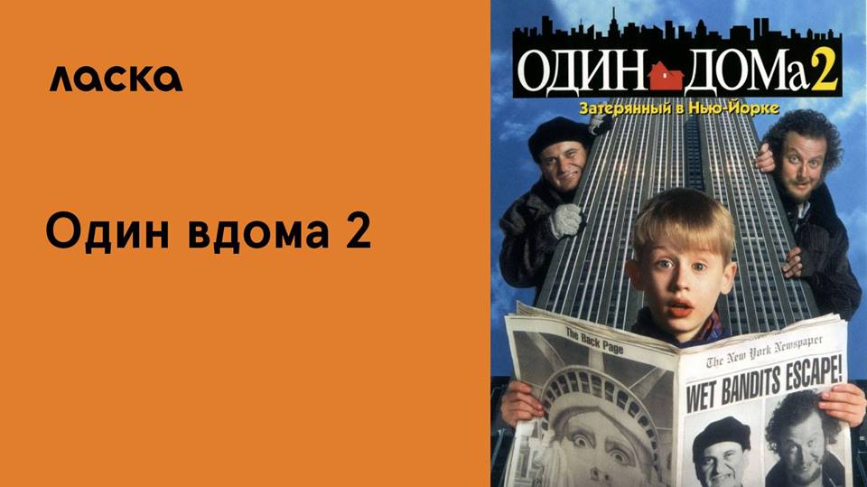 Один дома 2