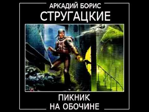 Пикнин на обочине