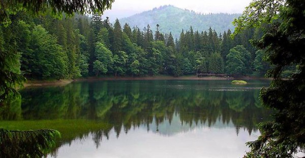 Где недорого отдохнуть в мае - Синевир
