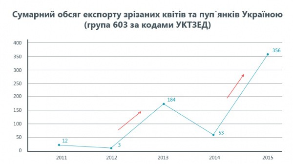 Инфографика