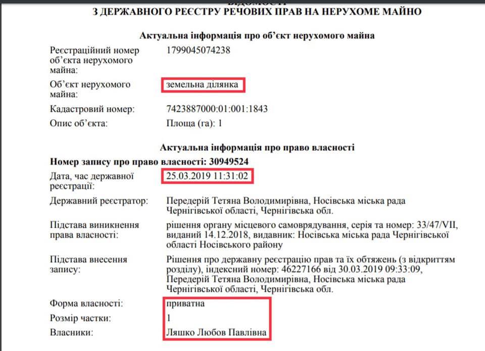 Информация о приобретенном земельном участке в Носовке Черниговской области