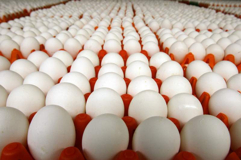 Яйца дорожают с начала октября 