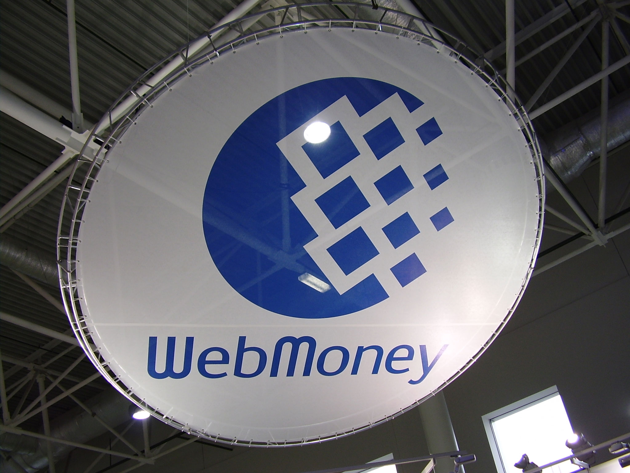 Проверка Налоговой WebMone заблокировала деньги украинцев