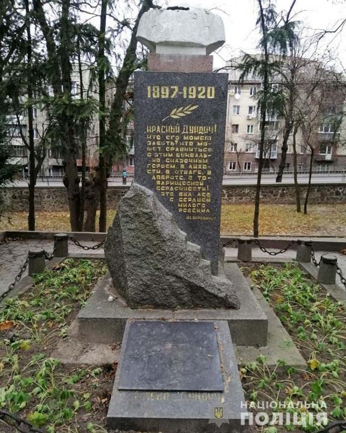 Инцидент произошел в центральном парке в Ровно