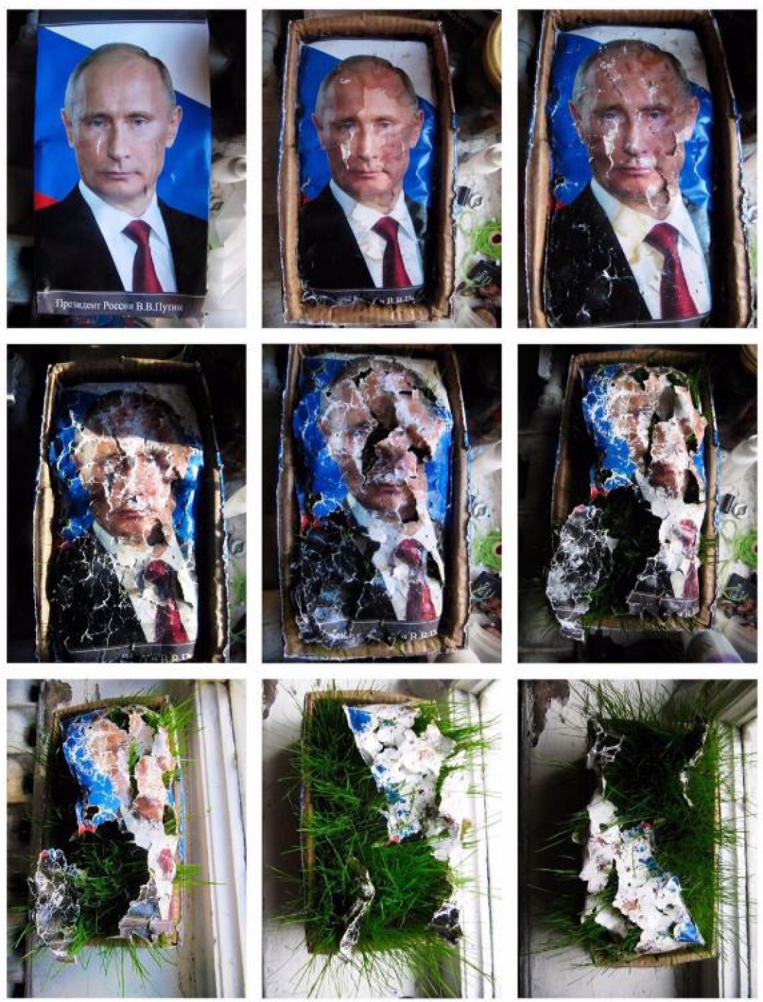 Фото растений, растущих сквозь Путина, не понравилось полиции