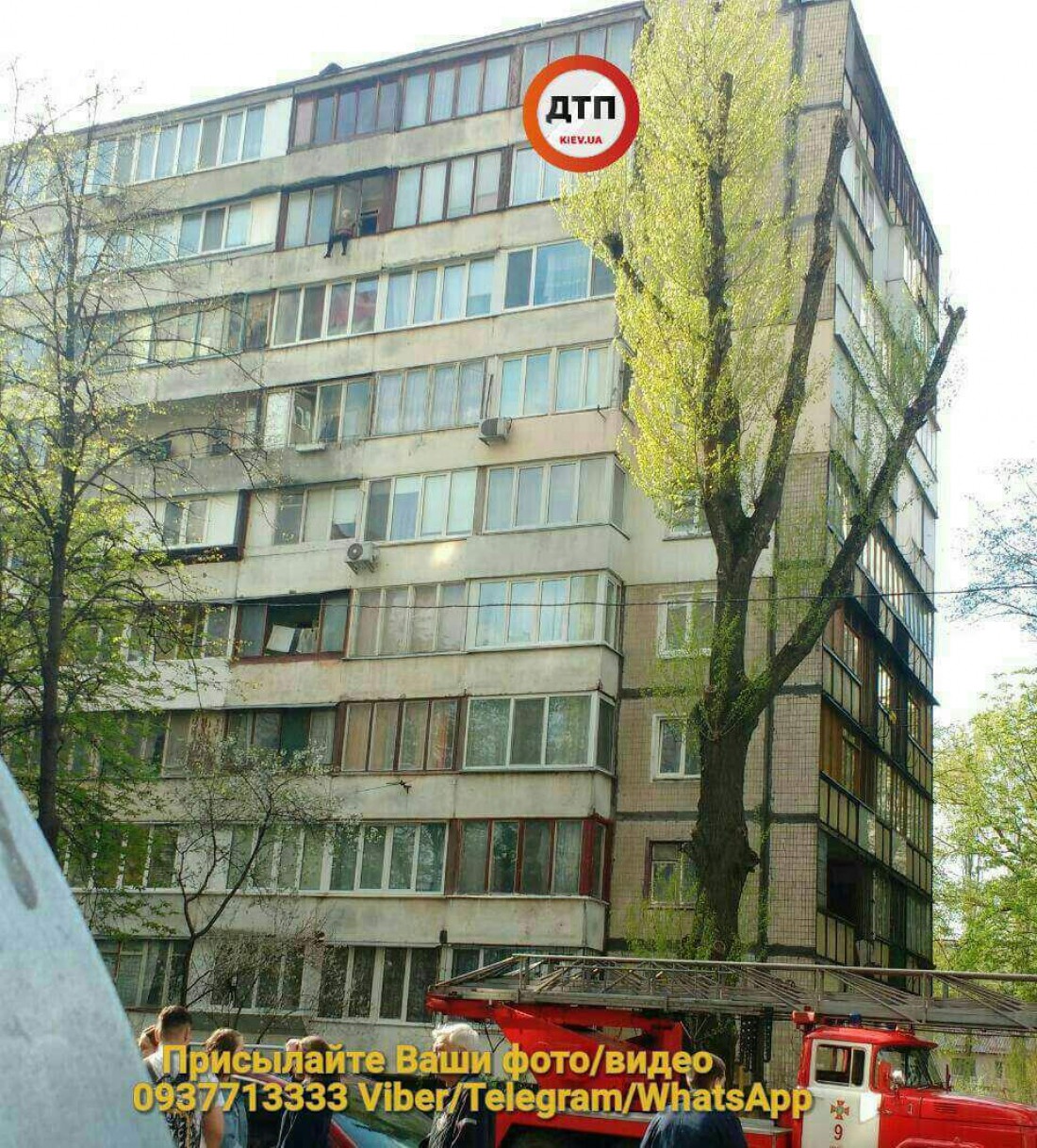 Старушка живет на девятом этаже