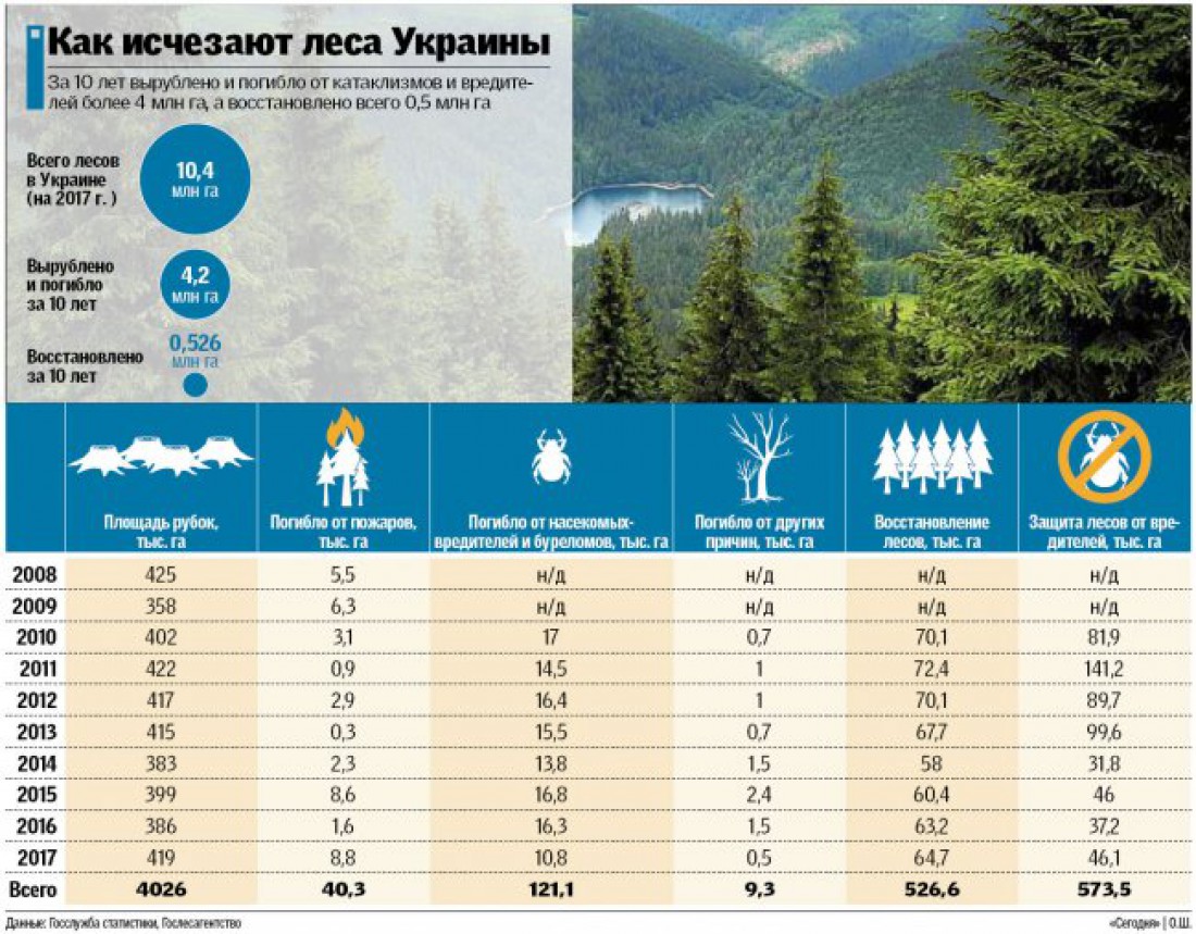 За последние годы засажено на 5% деревьев больше, чем вырублено