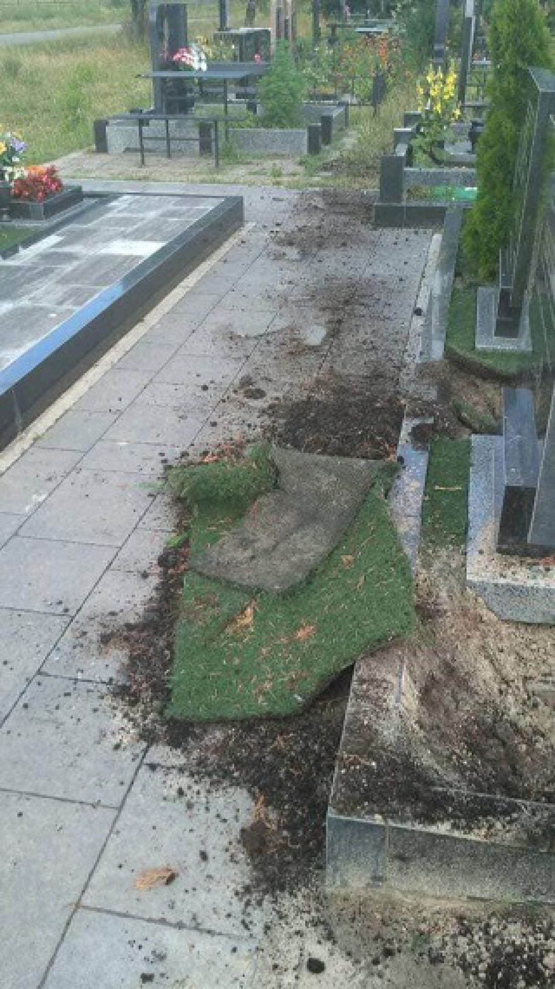 В комментариях пишут, что вандалы могли выкопать дерево, которое росло на могиле